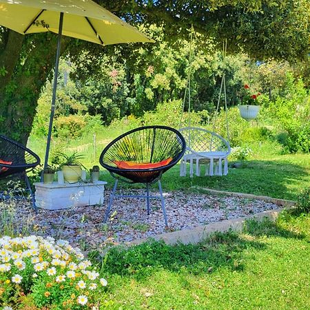 Agriturismo Podere Le Palaie Monterotondo  Екстериор снимка