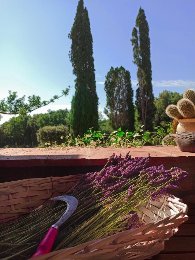 Agriturismo Podere Le Palaie Monterotondo  Екстериор снимка