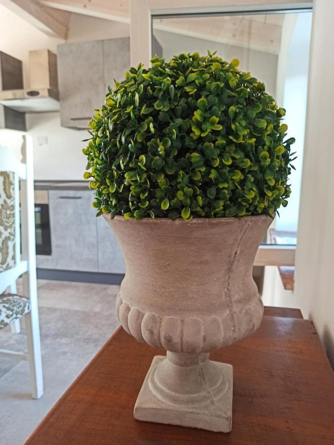 Agriturismo Podere Le Palaie Monterotondo  Екстериор снимка