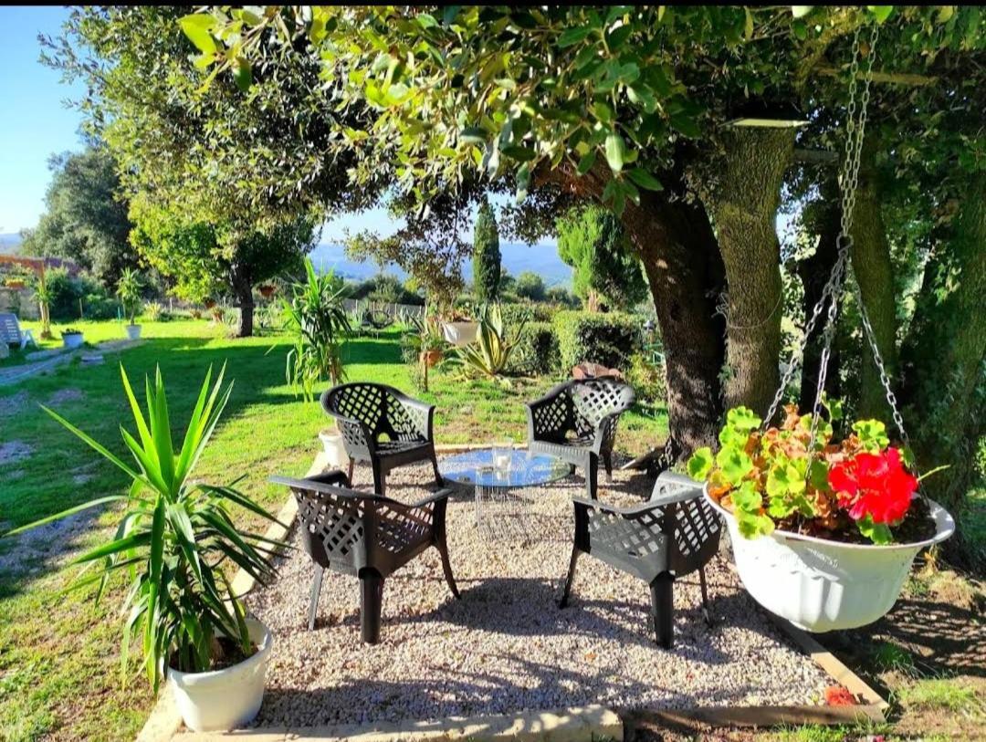 Agriturismo Podere Le Palaie Monterotondo  Екстериор снимка