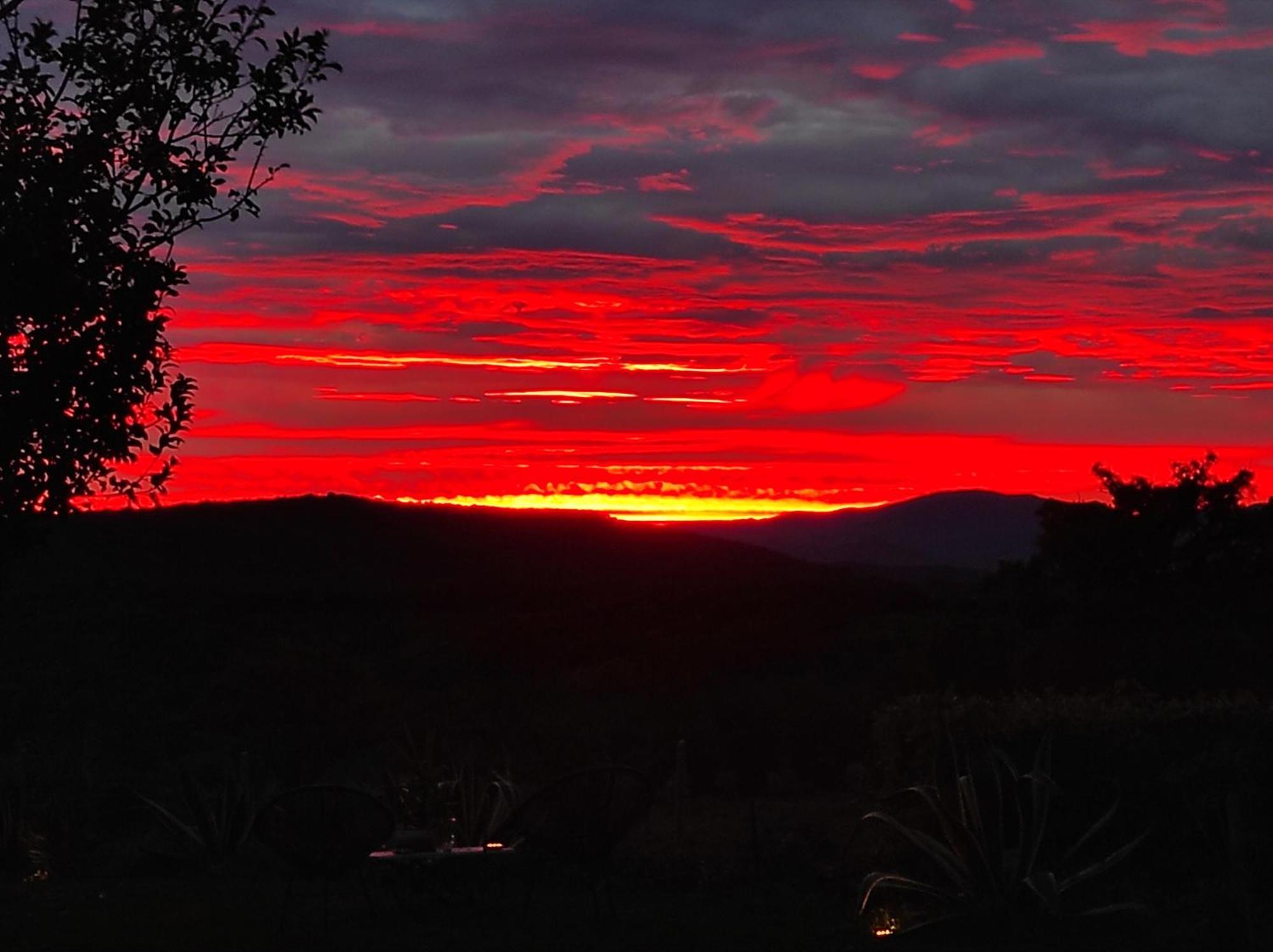 Agriturismo Podere Le Palaie Monterotondo  Стая снимка