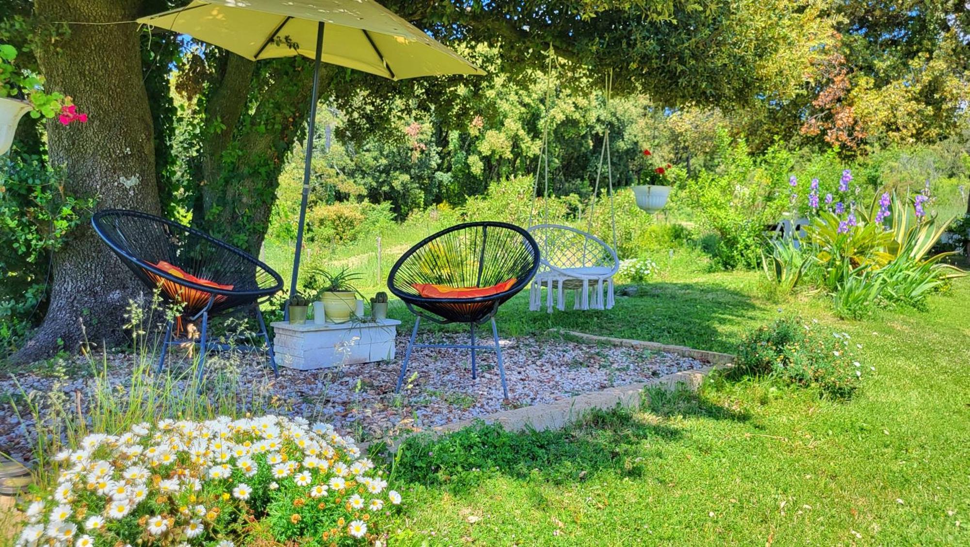 Agriturismo Podere Le Palaie Monterotondo  Екстериор снимка